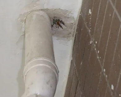 南涧漏水检测哪家好